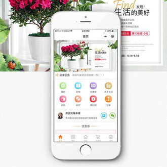 坡心镇门店微商城小程序开发