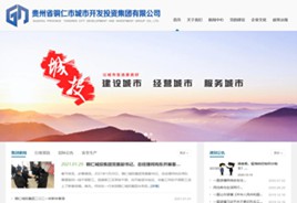 坡心镇城市开发投资集团有限公司