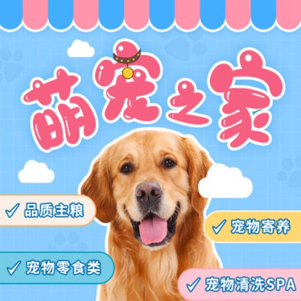 坡心镇萌宠之家小程序开发