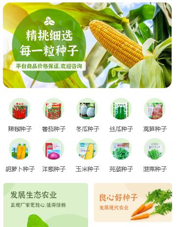 坡心镇农业小程序开发