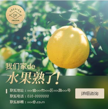 坡心镇果园果林小程序开发